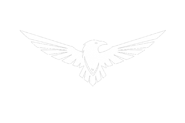 NordicRaven logo